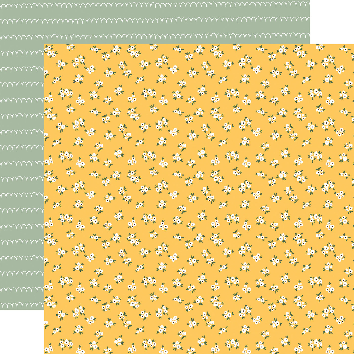 Double-sided 12x12: Sweet little bunches of white flowers on a yellow background. The reverse is a white scallop pattern on a mint green background. 80 lb cover. Felt texture.