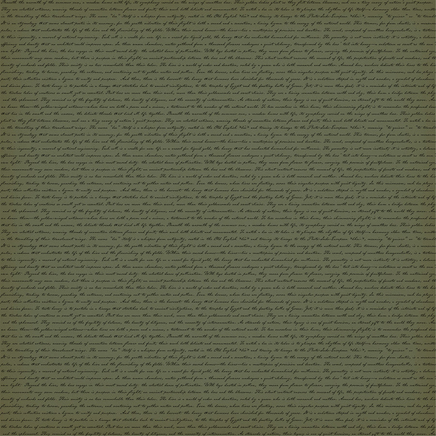 BEES AND FLOWERS - 12x12 Double-Sided Patterned Paper - Carta Bella