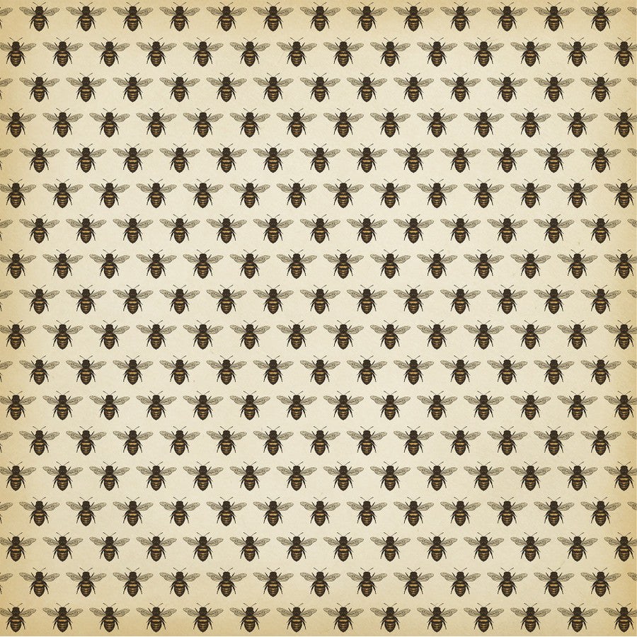 HONEY BEE 3X4 JOURNALING CARDS - 12x12 Double-Sided Patterned Paper - Carta Bella