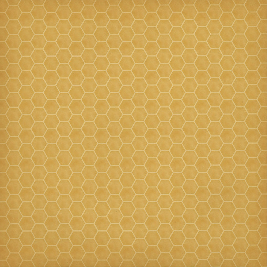 HONEYCOMB CLUSTERS - 12x12 Double-Sided Patterned Paper - Carta Bella
