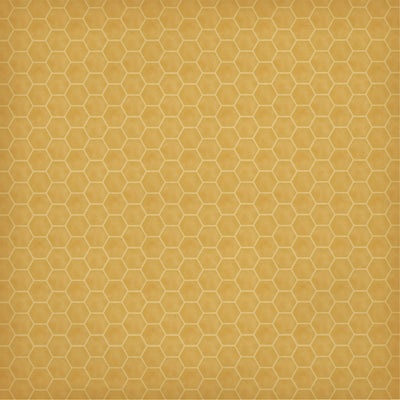 HONEYCOMB CLUSTERS - 12x12 Double-Sided Patterned Paper - Carta Bella
