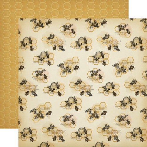 HONEY BEE 12x12 Collection Kit - Carta Bella