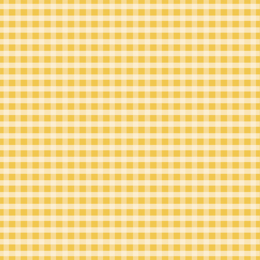 BLISSFUL BEES - 12x12 Double-Sided Patterned Paper - Carta Bella