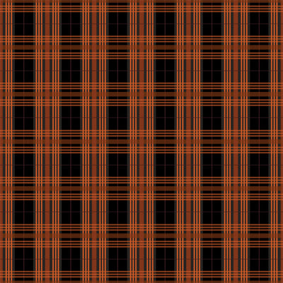 PETRIFIED PLAID - 12x12 Patterned Cardstock - Carta Bella