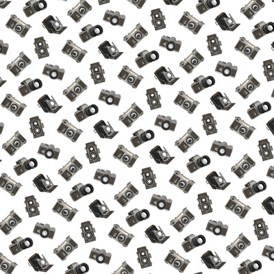 TRAVEL STRIPS - 12x12 Double-Sided Patterned Paper - Carta Bella