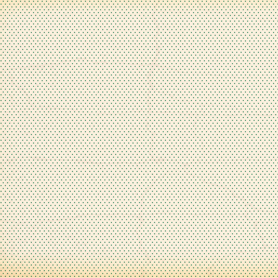 SEASONAL SNOWFLAKES - 12x12 Patterned Cardstock - Carta Bella