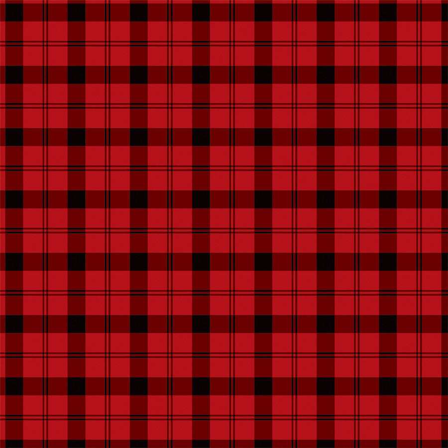 TARTAN NO. 2: WINDSOR PLAID - 12x12 Patterned Cardstock - Carta Bella