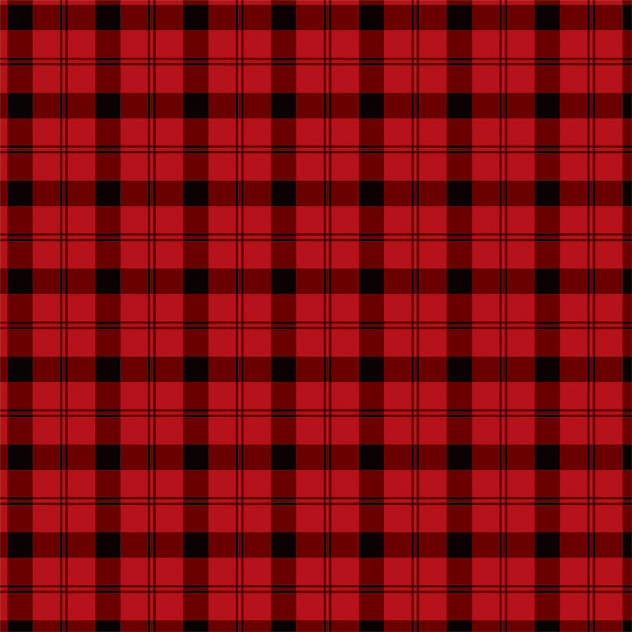 TARTAN NO. 2: WINDSOR PLAID - 12x12 Patterned Cardstock - Carta Bella