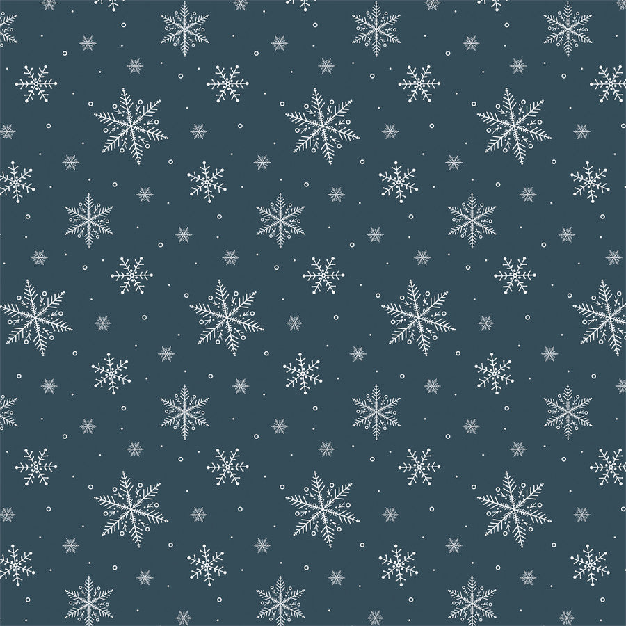 WINTER DAY FLAKES - 12x12 Patterned Cardstock - Carta Bella