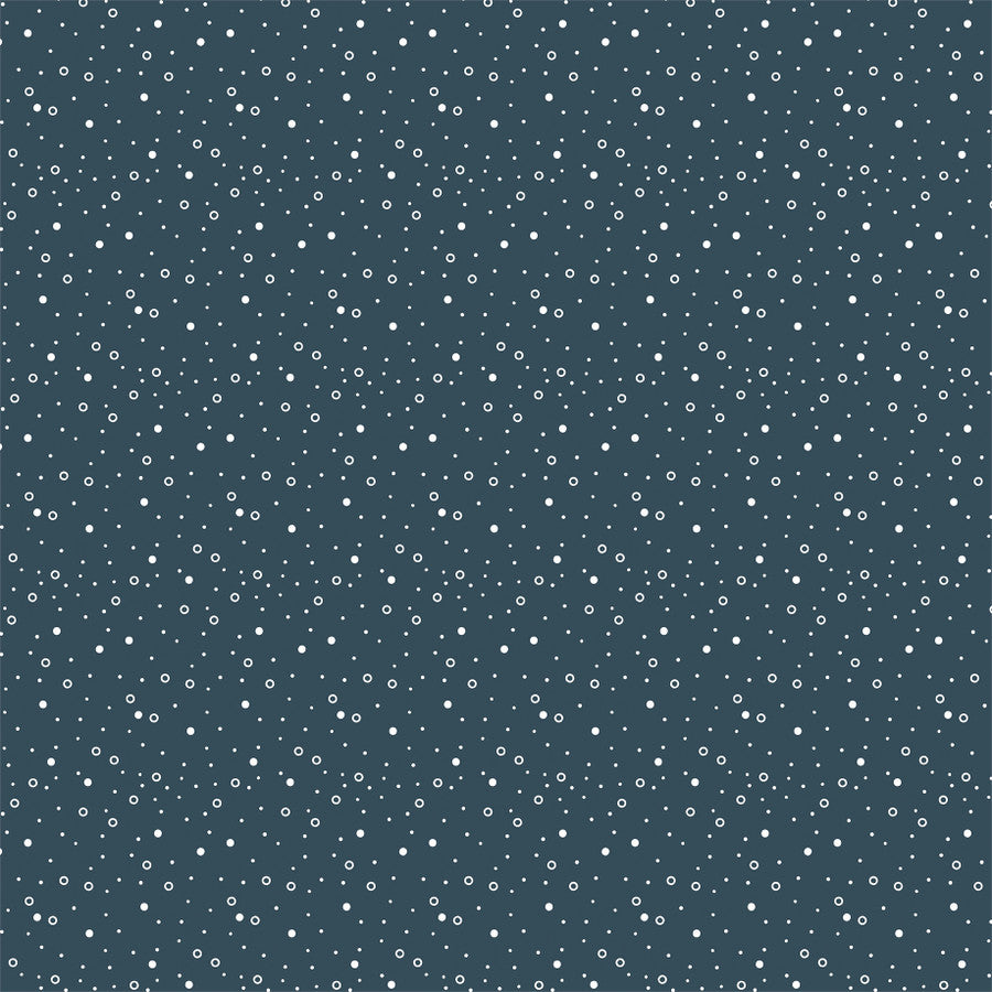SNOWY SWIRLS - 12x12 Patterned Cardstock - Carta Bella