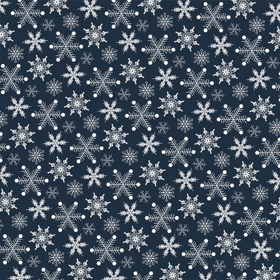 WINTER WHITEOUT - 12x12 Patterned Cardstock - Carta Bella