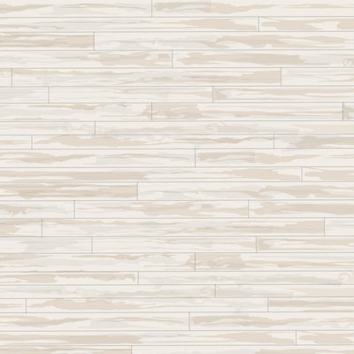 WINTER WHITEOUT - 12x12 Patterned Cardstock - Carta Bella