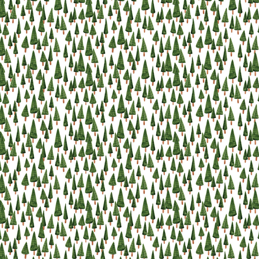 WINTER WONDERLAND - 12x12 Patterned Cardstock - Carta Bella