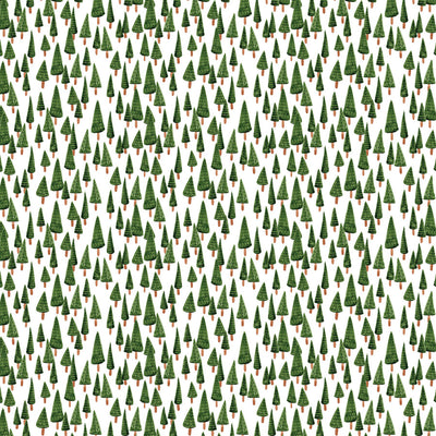 WINTER WONDERLAND - 12x12 Patterned Cardstock - Carta Bella
