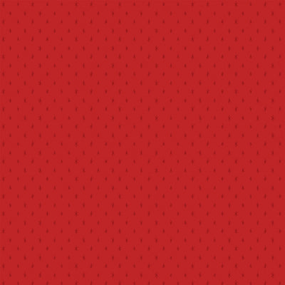 CHRISTMAS FLORAL - 12x12 Patterned Cardstock - Carta Bella