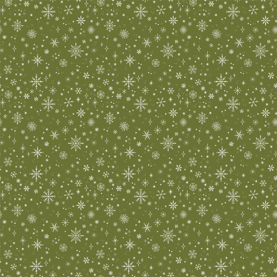 HOLIDAY GREENERY - 12x12 Double-Sided Patterned Paper - Echo Park