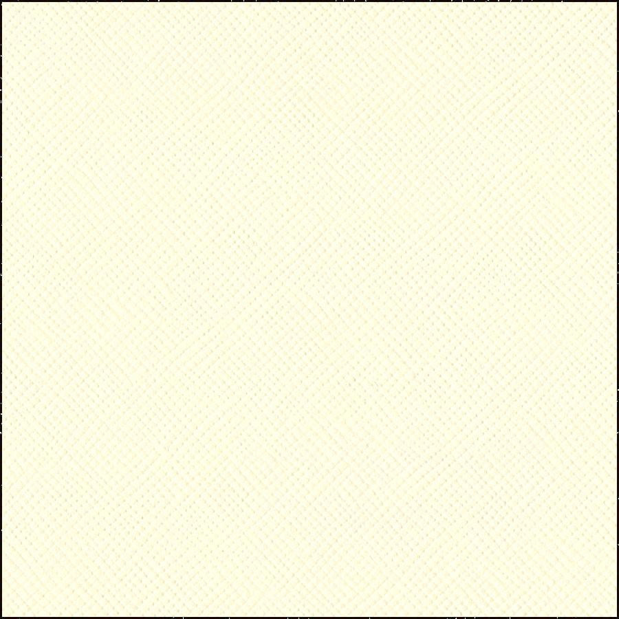 Bazzill Basics CREAM PUFF cardstock - off-white color - 12x12 inch - 80 lb - textured scrapbook paper