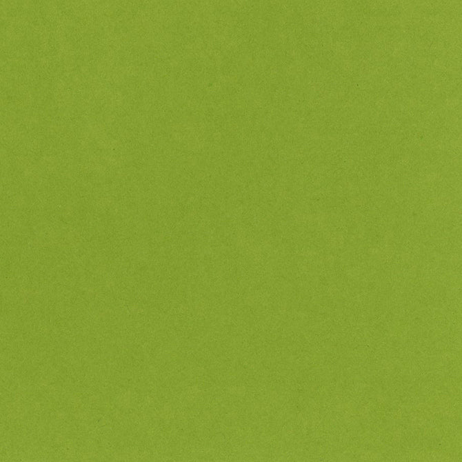CRISP GREEN - My Colors Heavyweight 100 lb 12x12 Cardstock
