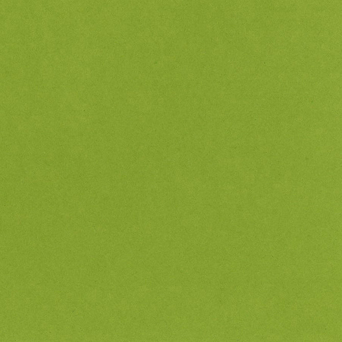 CRISP GREEN - My Colors Heavyweight 100 lb 12x12 Cardstock