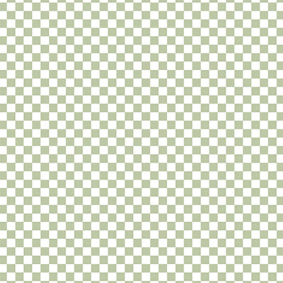 CHECKERBOARD CELERY - 12x12 Patterned Cardstock - Echo Park