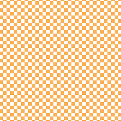 CHECKERBOARD CARROT - 12x12 Patterned Cardstock - Echo Park