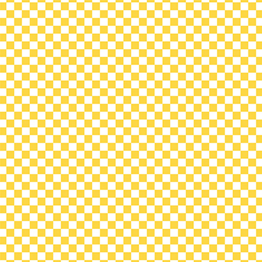 CHECKERBOARD SUNSHINE - 12x12 Patterned Cardstock - Echo Park