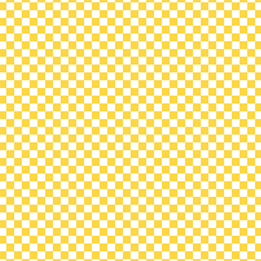 CHECKERBOARD SUNSHINE - 12x12 Patterned Cardstock - Echo Park