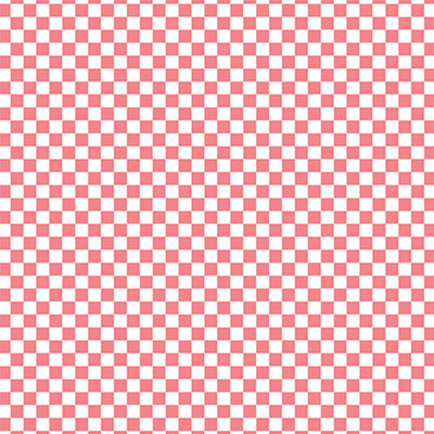 CHECKERBOARD WATERMELON - 12x12 Patterned Cardstock - Echo Park