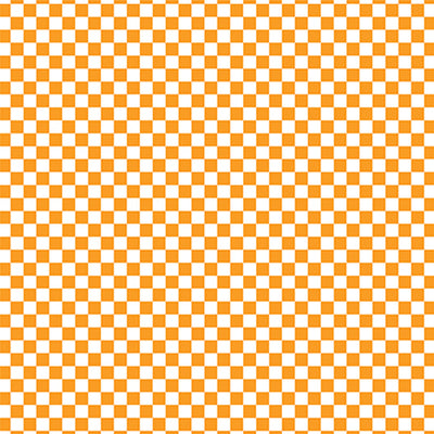 CHECKERBOARD TANGERINE - 12x12 Patterned Cardstock - Echo Park