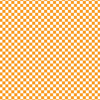 CHECKERBOARD TANGERINE - 12x12 Patterned Cardstock - Echo Park