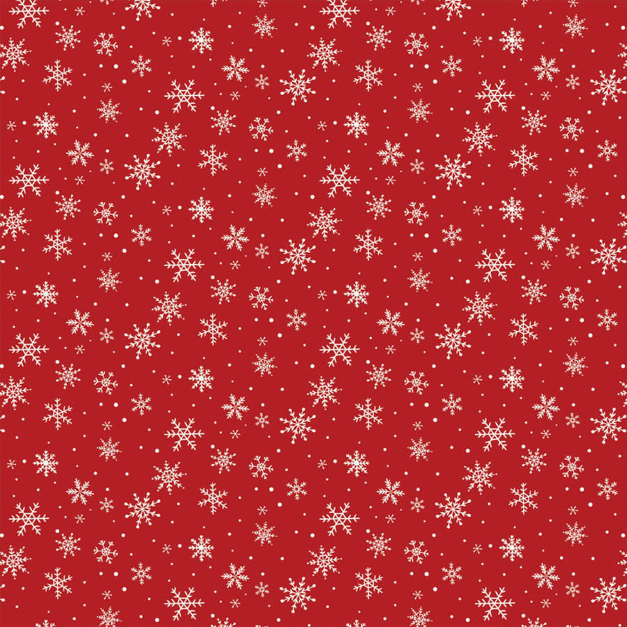 SNOWFLAKES FALLING - 12x12 Double-Sided Patterned Paper - Echo Park