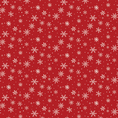 SNOWFLAKES FALLING - 12x12 Double-Sided Patterned Paper - Echo Park