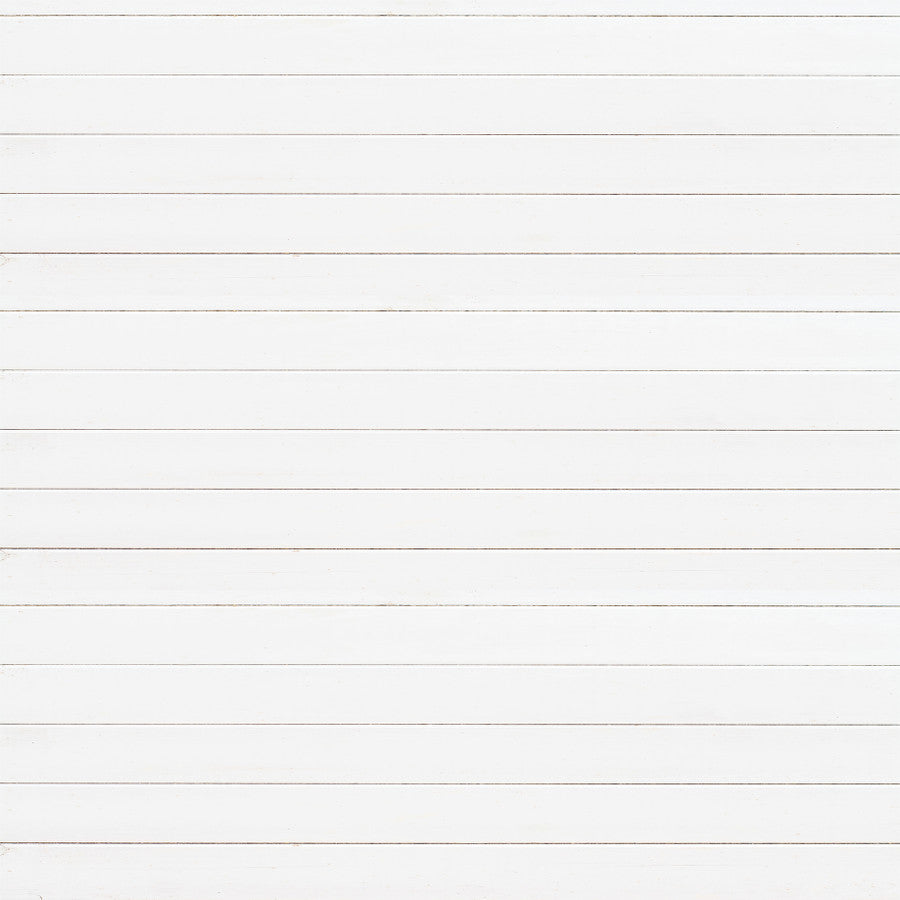 SHIPLAP WOOD GRAIN - 12x12 Double-Sided Patterned Paper - Echo Park