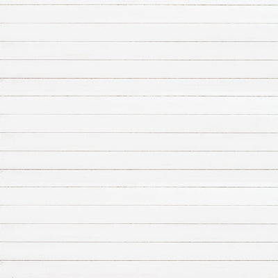 SHIPLAP WOOD GRAIN - 12x12 Double-Sided Patterned Paper - Echo Park