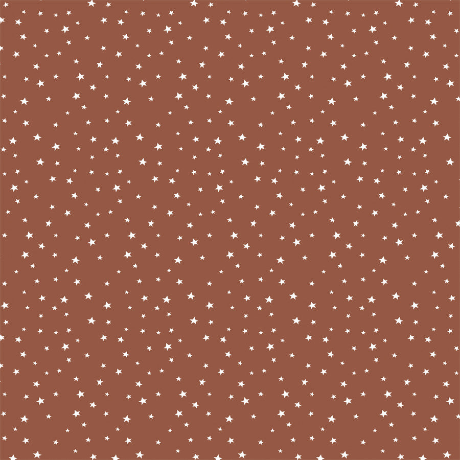 DAISY DREAMS - 12x12 Double-Sided Patterned Paper - Echo Park