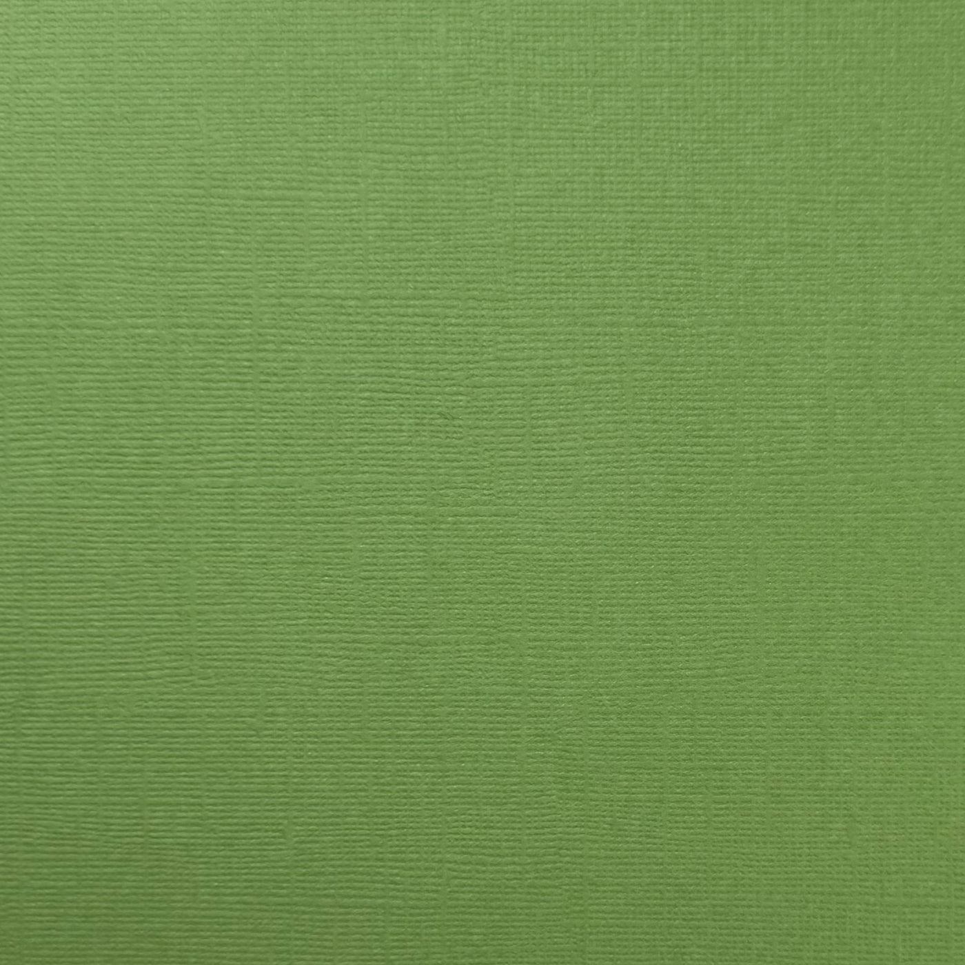 DESERT CACTUS - Moss Green Textured 12x12 Cardstock - Encore Paper