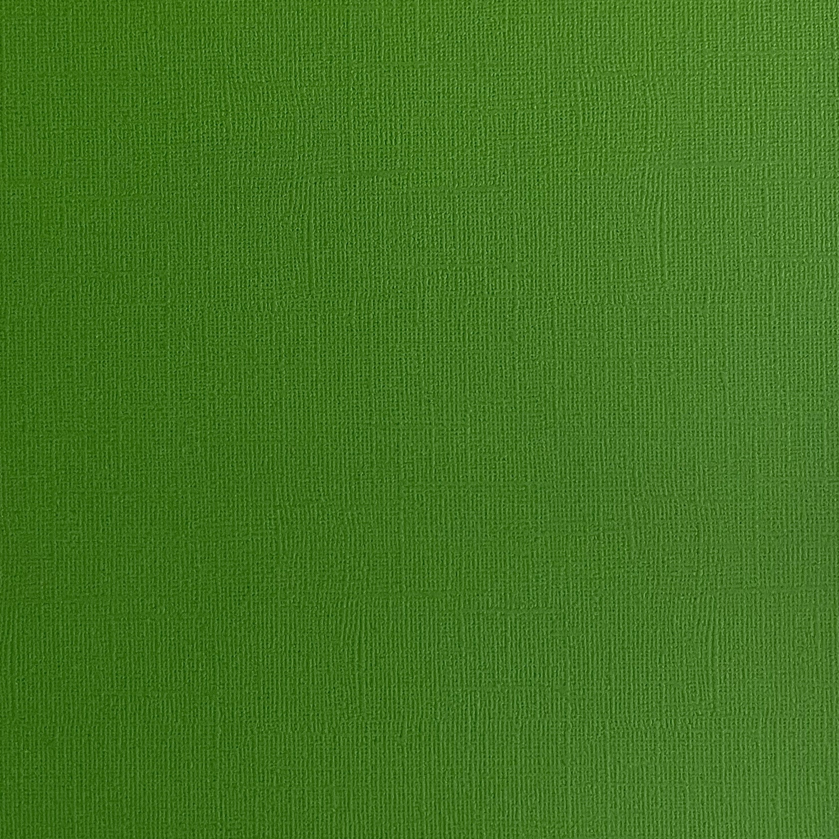 DILL PICKLE 12x12 Textured Dark Green Cardstock Encore Paper The