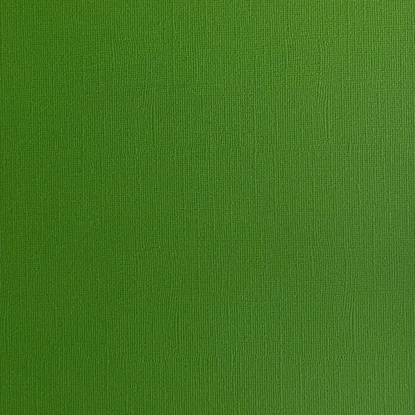 DILL PICKLE - Green Textured 12x12 Cardstock - Encore Paper