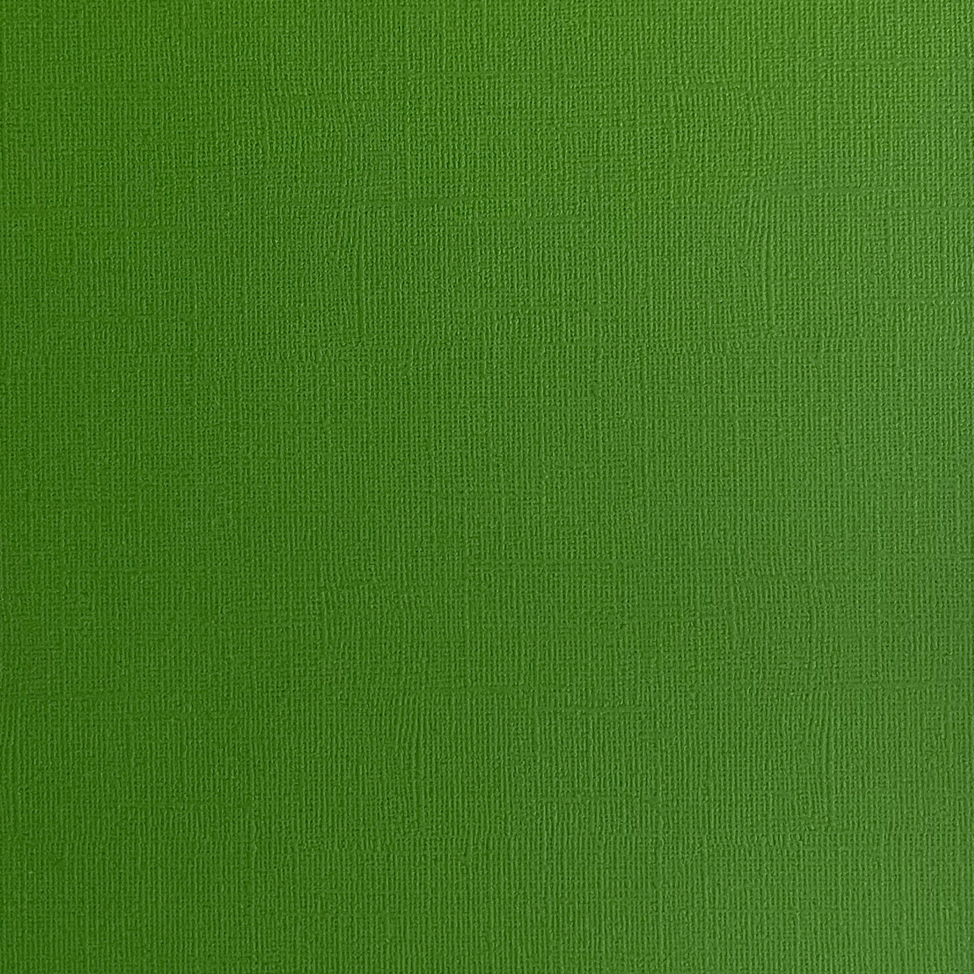 DILL PICKLE - Green Textured 12x12 Cardstock - Encore Paper