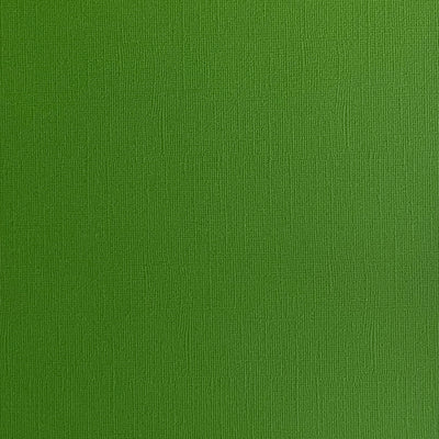 DILL PICKLE - Green Textured 12x12 Cardstock - Encore Paper