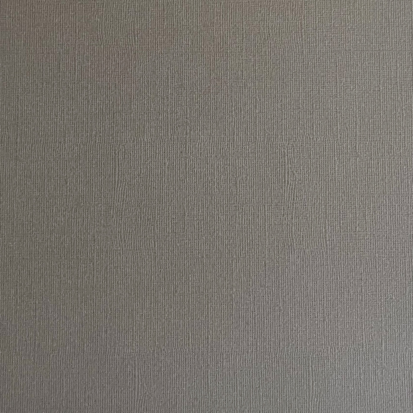 DOLPHIN 12x12 Textured Gray Cardstock - Encore Paper – The 12x12 ...
