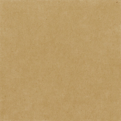 BLACK FOIL STRIPE - KRAFT - Dots & Stripes 12x12 Cardstock