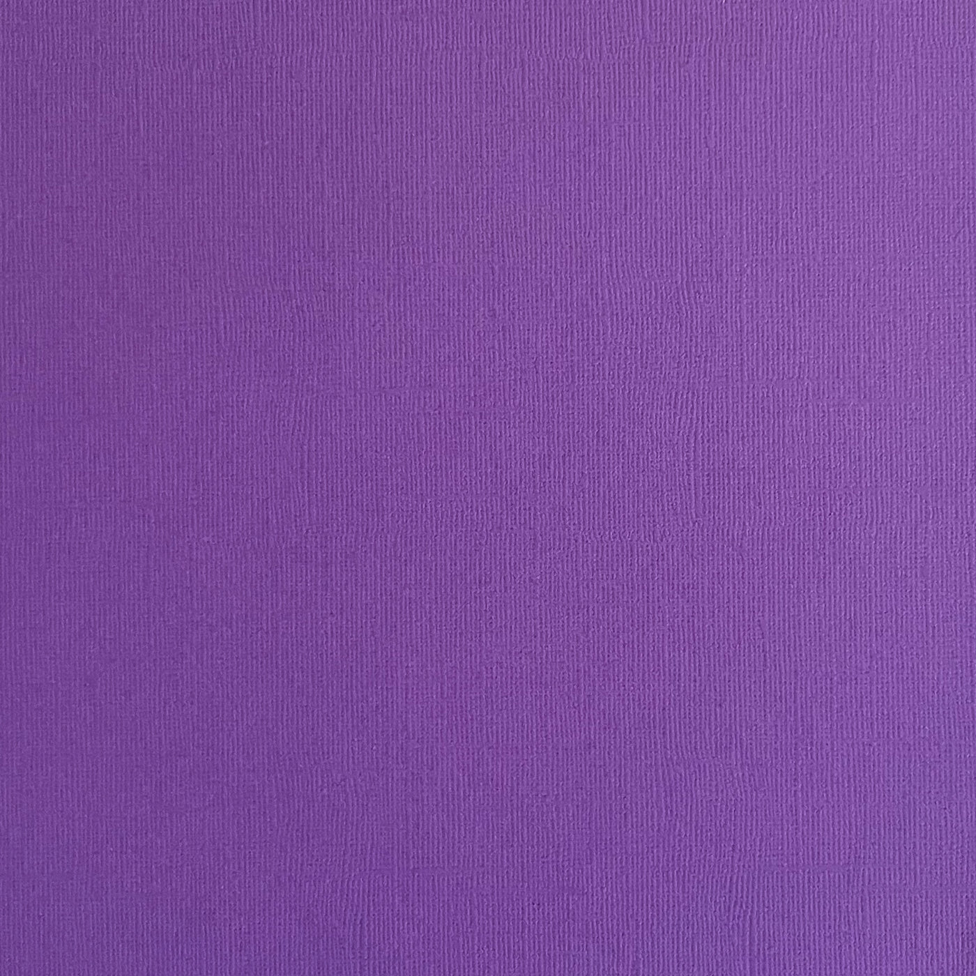 DUTCH IRIS - Vibrant Purple Textured 12x12 Cardstock - Encore Paper