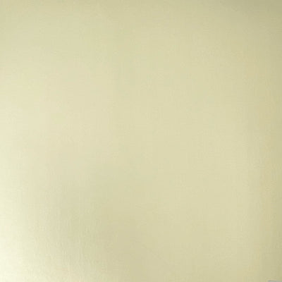 Sage green matte foil cardstock