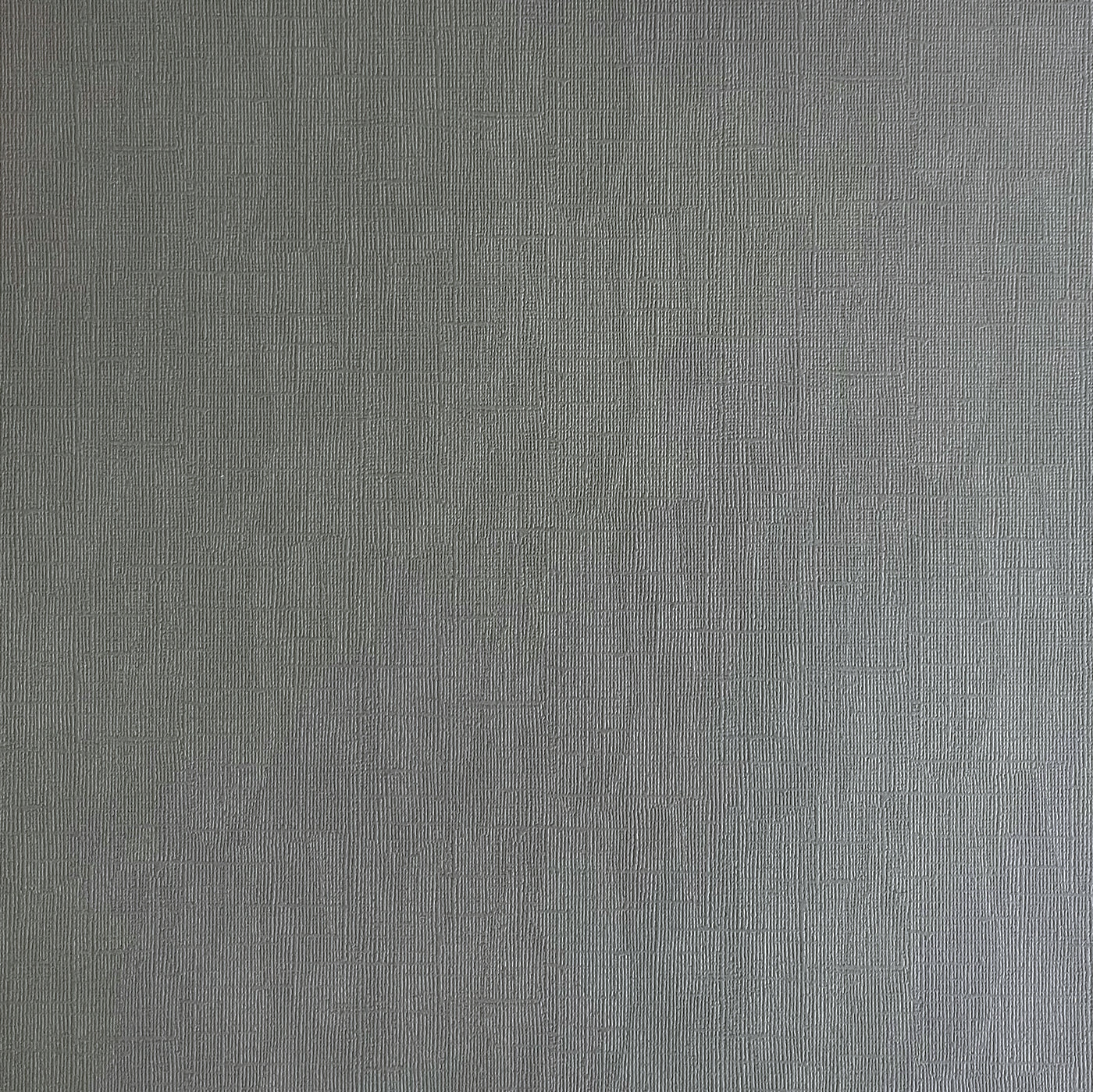 Encore Tin Man - Medium Gray Textured Cardstock for Cricut cutting