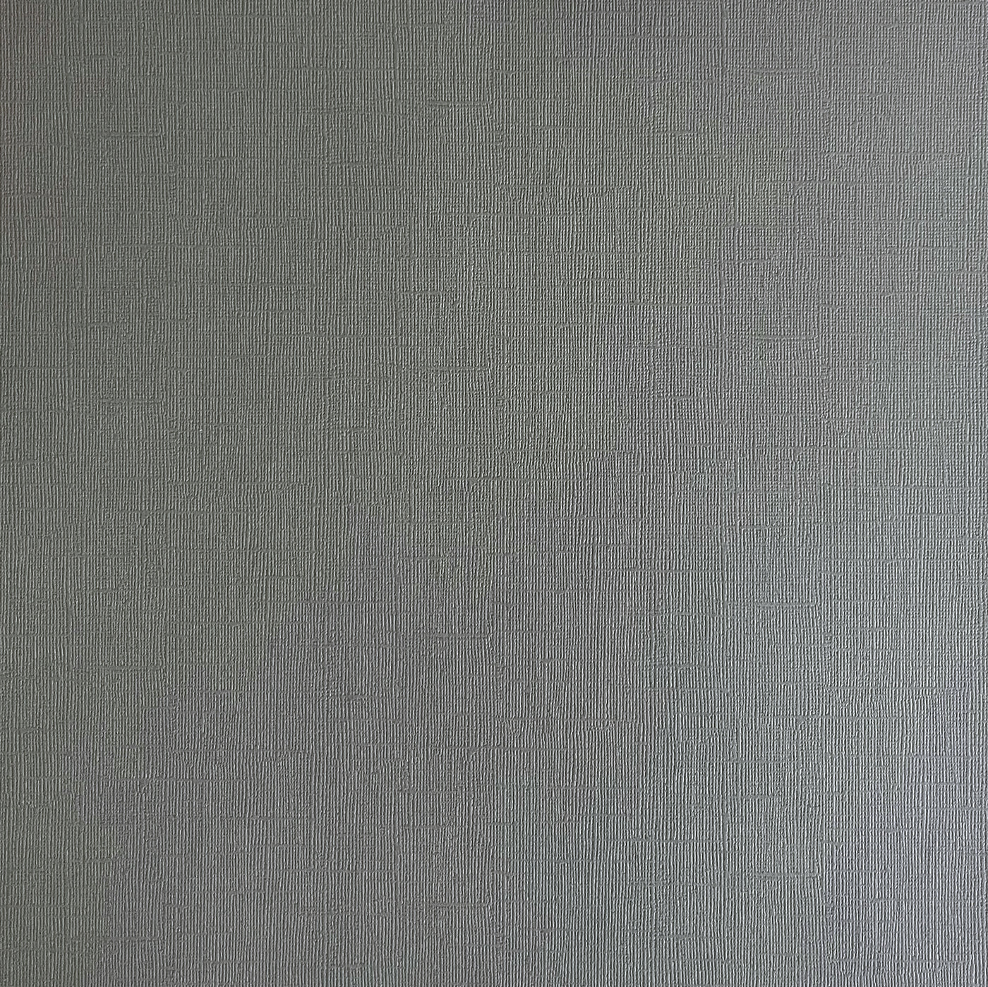 Encore Tin Man - Medium Gray Textured Cardstock for Cricut cutting