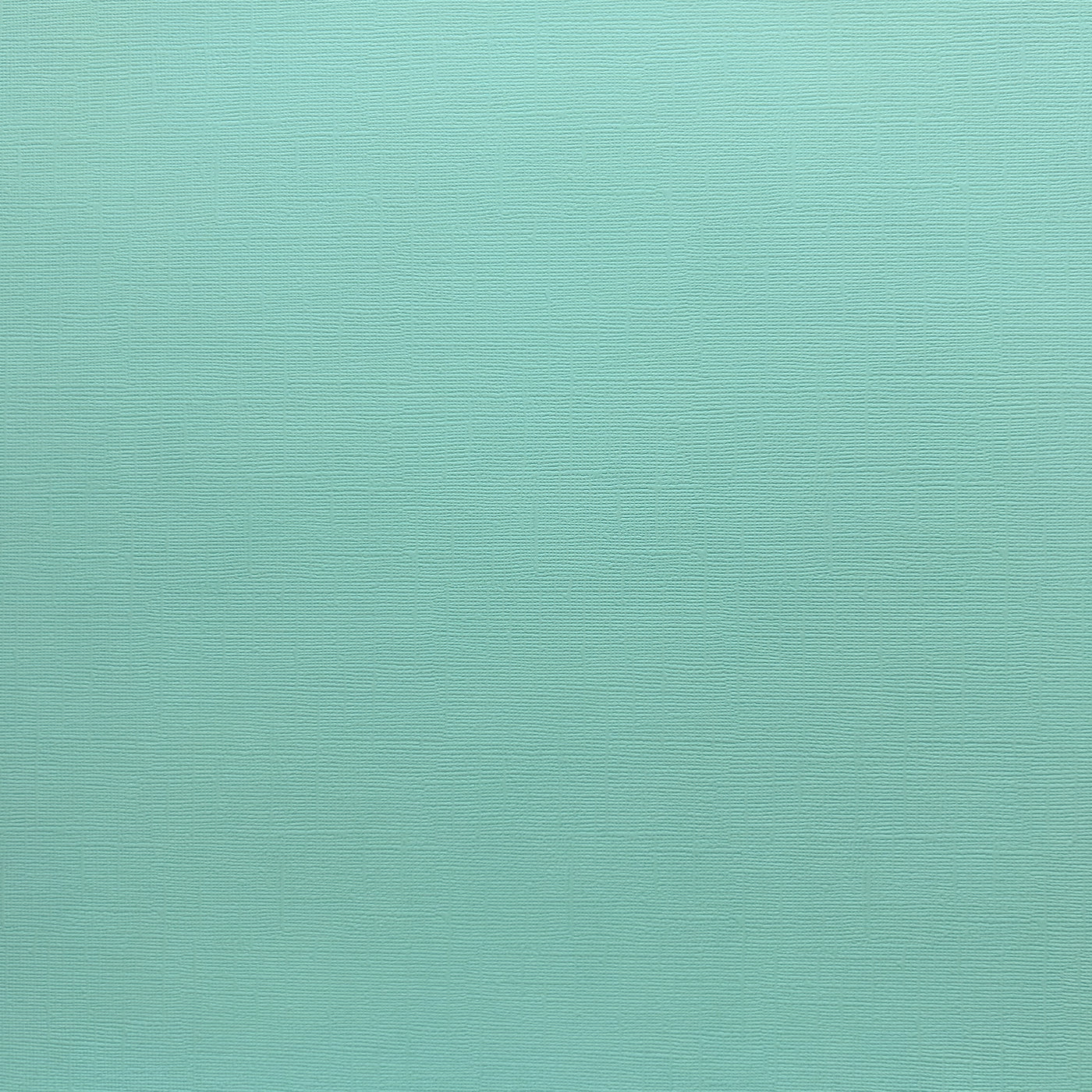 Encore Aquamarine Fizz  pale aqua textured cardstock for Cricut cutting