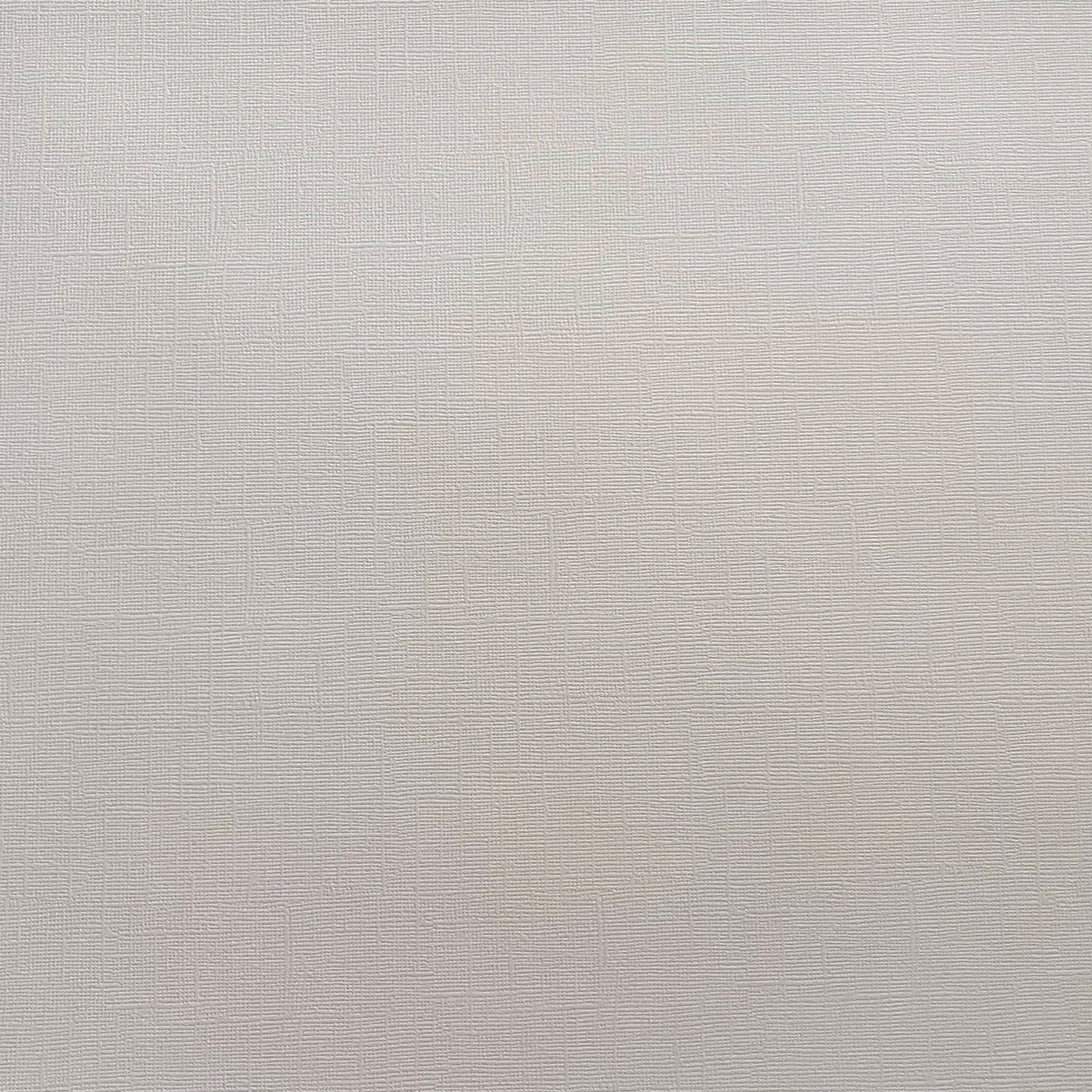 Encore Cloud Veil light grey textured cardstock for Cricut cutting