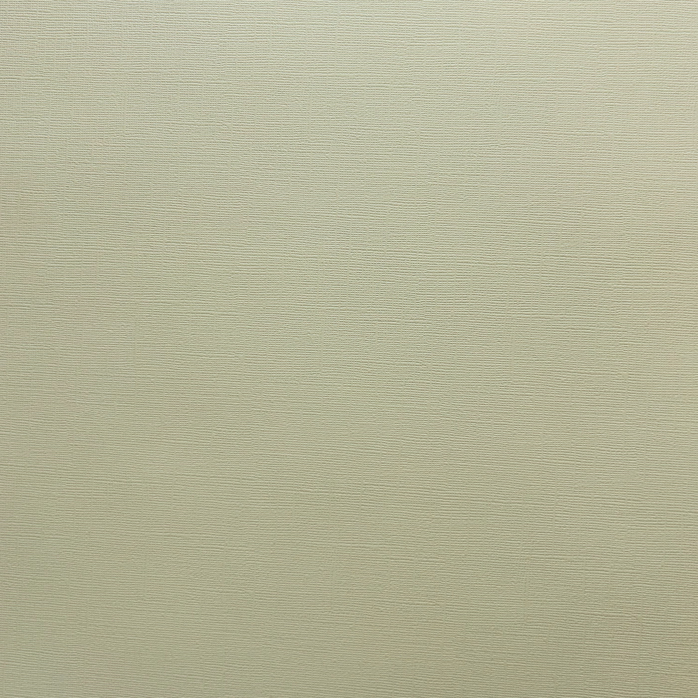 Encore Desert Aloe sage green textured cardstock for Cricut cutting
