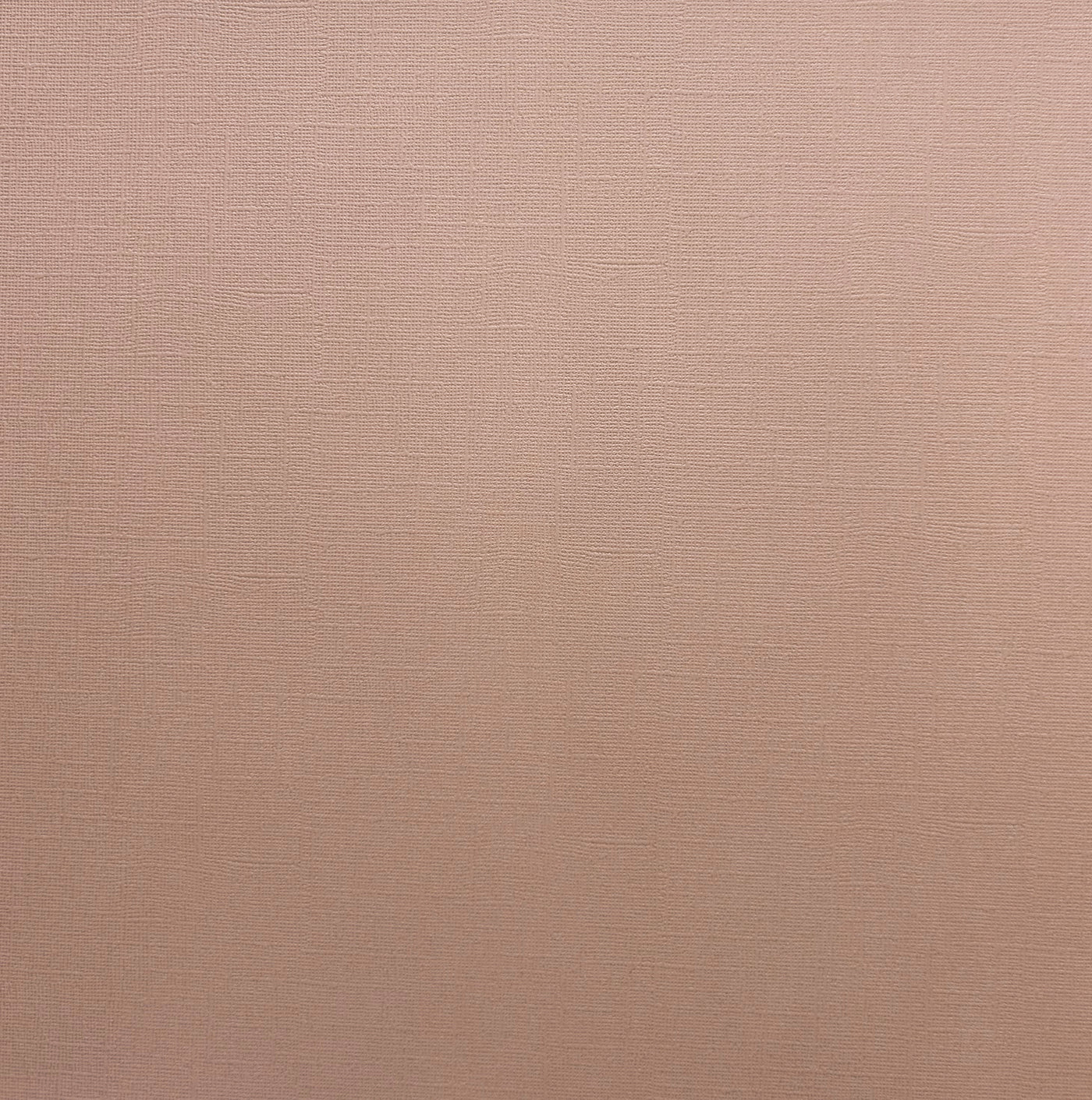 Encore Driftwood pale brown textured cardstock for Cricut cutting